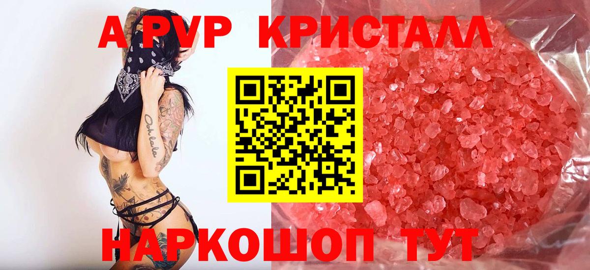 Альфа ПВП СК КРИС Майкоп