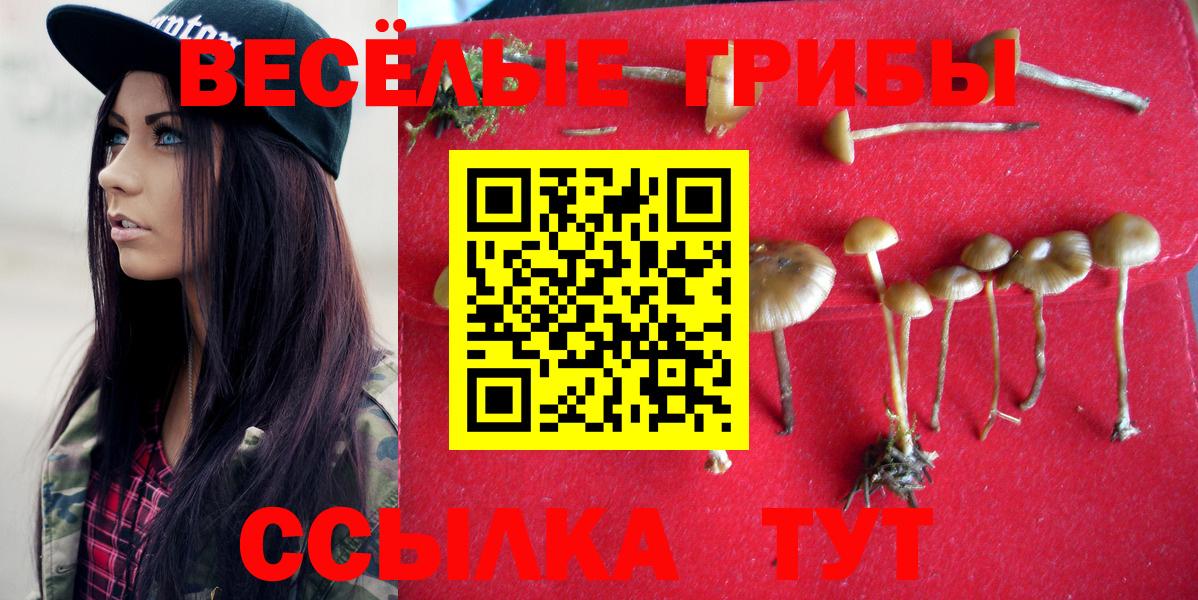 Галлюциногенные грибы прущие грибы Майкоп