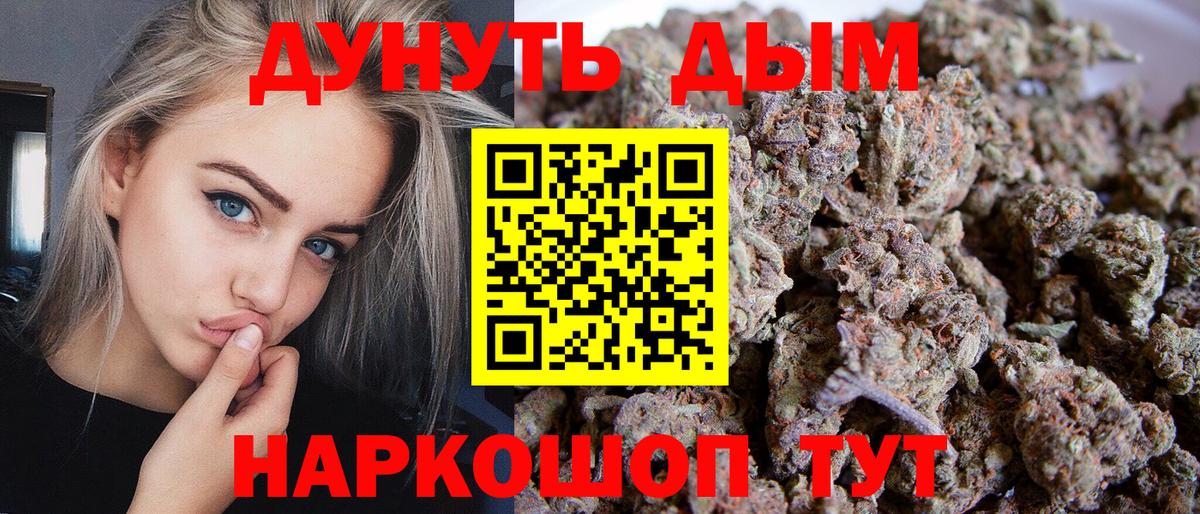 Конопля конопля  Марихуана Amnesia  Майкоп  Вход с VPN  Каннабис сатива 